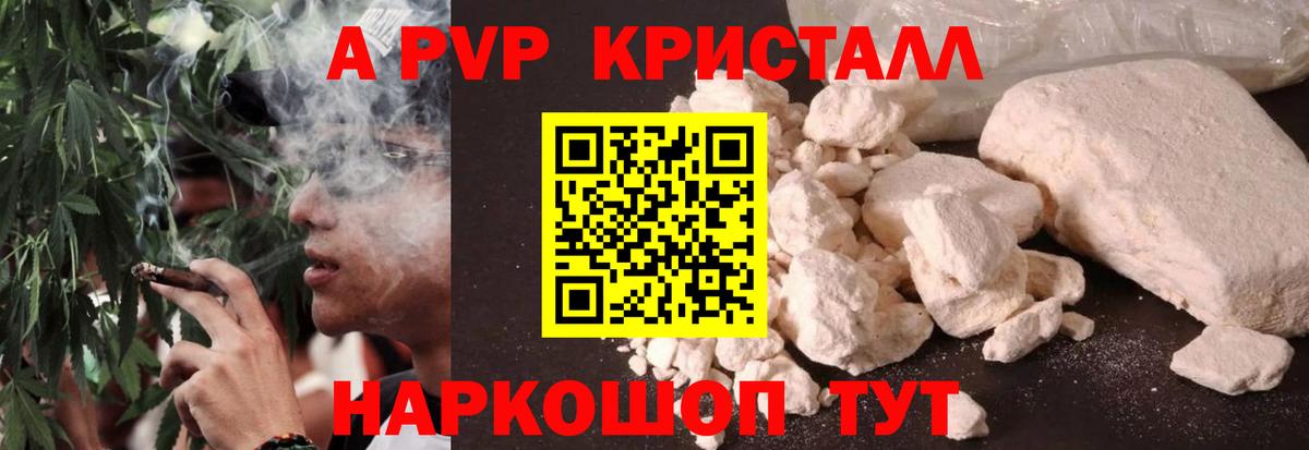 Альфа ПВП СК КРИС  Альфа ПВП крисы CK  Куйбышев  Вход с VPN 