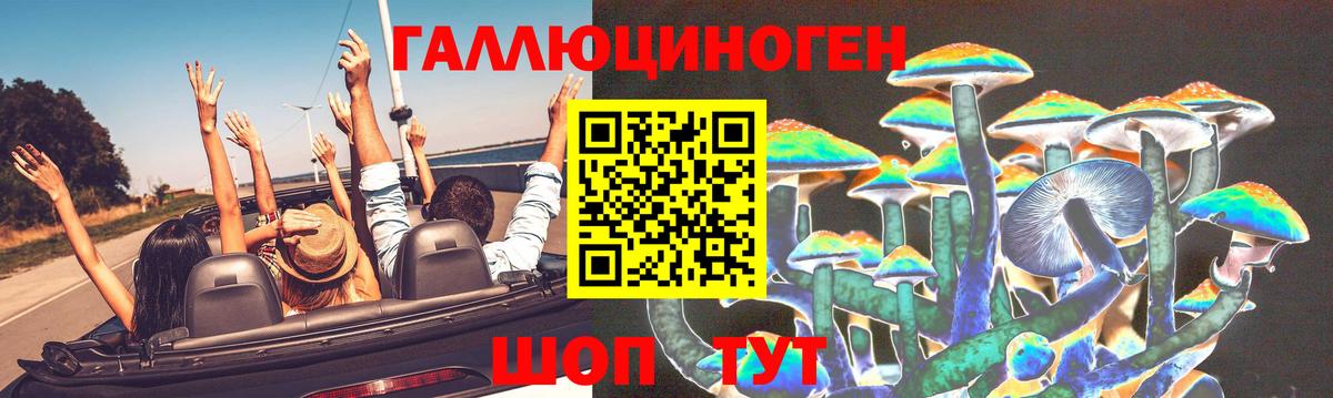 Куйбышев  Псилоцибиновые грибы мицелий  Псилоцибиновые грибы Psilocybine cubensis  Вход с VPN 